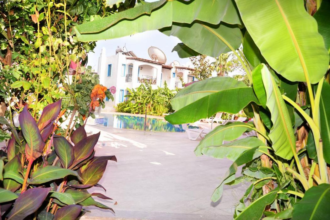 بيتيس Villa Nergis المظهر الخارجي الصورة